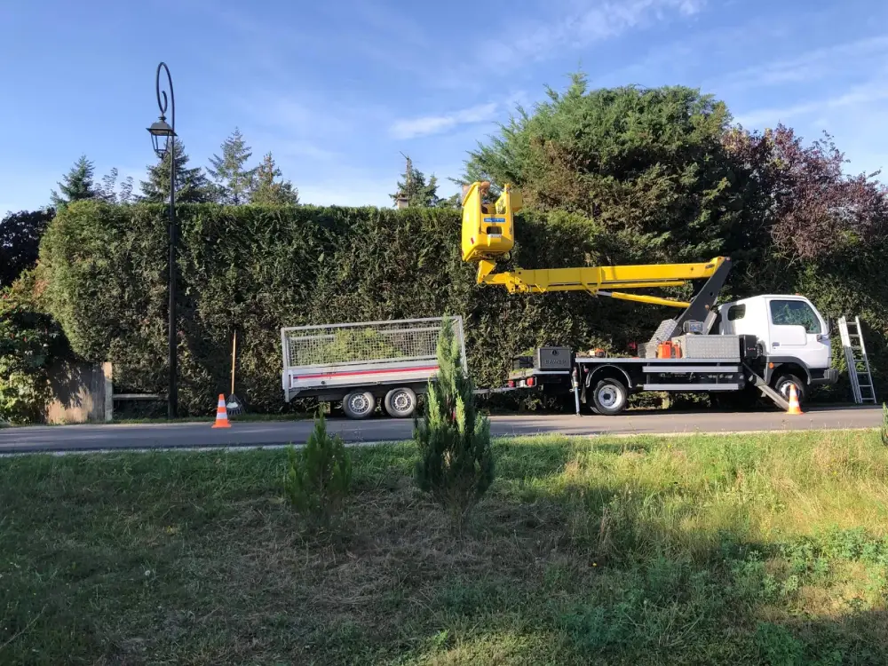 Elagage-professionnel à Tarbes