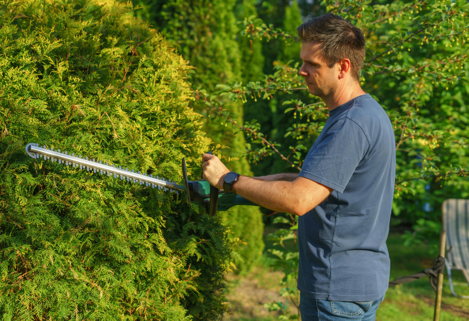 dessouchage jardin Pau