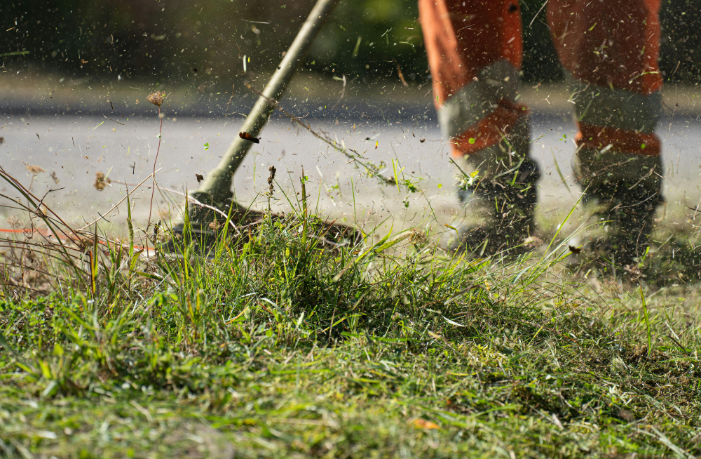 dessouchage terrain Léscar