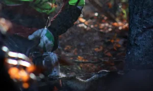 Les avantages de faire appel à un professionnel pour l’abattage d’arbres anciens ou dangereux