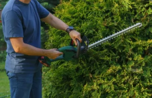 Top 5 des erreurs courantes lors de la taille de haie et comment les éviter