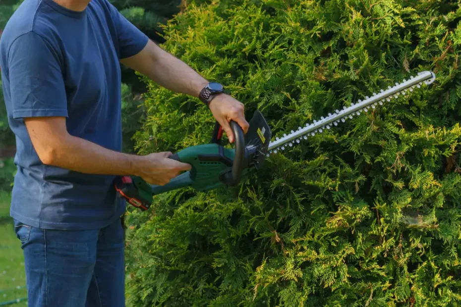 Top 5 des erreurs courantes lors de la taille de haie et comment les éviter