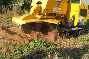 Dessouchage Pas-de-Calais