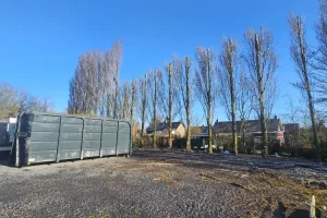 Taille d’arbres Noyelles-sous-Lens