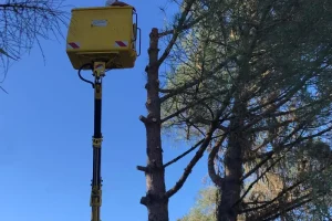 specialiste-grandes-hauteurs